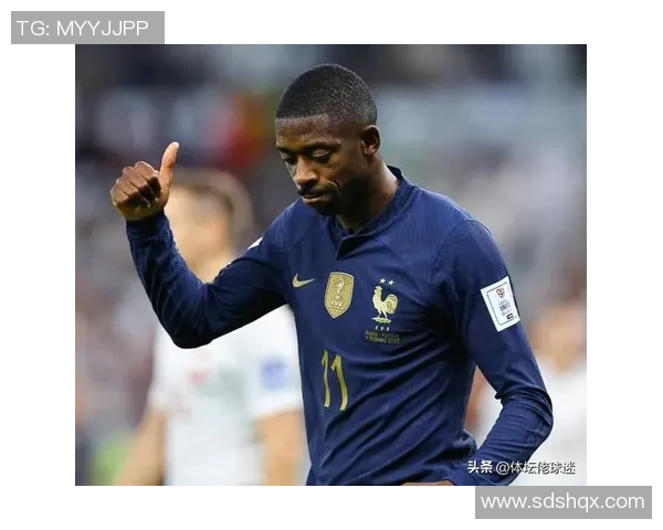 2020年法国队足球明星盘点及其在国际赛场上的精彩表现