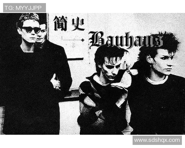 斯通斯的传奇之旅：从摇滚先锋到文化象征的变迁与影响